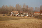 2009-01-09_13-19-33_DSC_3525.jpg