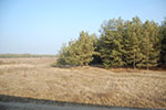 2009-01-09_13-21-45_DSC_3531.jpg