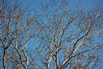 2009-01-09_13-22-58_DSC_3535.jpg
