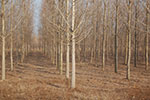 2009-01-09_13-24-14_DSC_3544.jpg