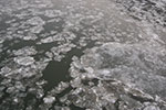 2009-01-10_16-22-24_DSC_3619.jpg