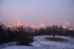Photos