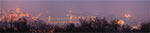 2009-01-10_16-41-02_DSC_3644-pan.jpg