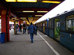 2009-01-12_12-49-20_IMGP2495.jpg
