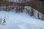 2009-01-13_15-30-36_DSC_3831.jpg