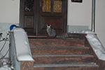 2009-01-15_04-32-49_DSC_3976.jpg