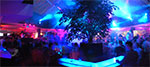2009-01-25_03-19-06_IMGP2734-pan.jpg
