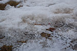 2009-01-27_16-30-54_DSC_4645.jpg