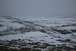 2009-01-27_16-31-02_DSC_4646.jpg
