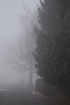 2009-01-27_16-31-36_DSC_4648.jpg