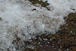 2009-01-27_16-35-52_DSC_4669.jpg