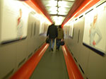 2009-01-28_11-06-22_IMGP2804.jpg