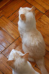 DSC_4717.jpg
