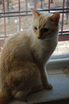 DSC_4726.jpg