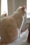 DSC_4763.jpg