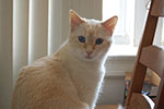 DSC_4795.jpg