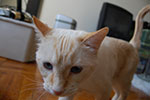 DSC_4806.jpg