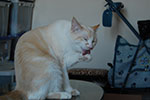 DSC_4861.jpg