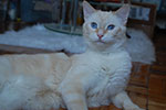DSC_4905.jpg