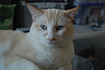 DSC_4930.jpg
