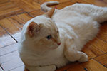 DSC_4934.jpg