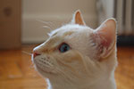 DSC_4982.jpg