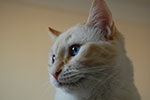 DSC_4996.jpg