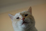 DSC_5011.jpg