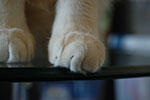 DSC_5018.jpg