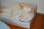 DSC_5080.jpg