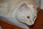 DSC_5081.jpg