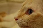 DSC_5097.jpg