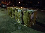 IMGP2834.jpg