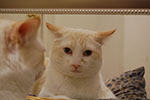 2009-02-01_00-40-48_DSC_5307.jpg