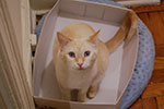 2009-02-01_00-44-43_DSC_5327.jpg