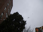 2009-02-03_12-34-03_IMGP2878.jpg