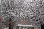 2009-02-03_16-50-29_DSC_5791.jpg