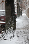 2009-02-03_16-50-56_DSC_5795.jpg