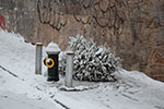 2009-02-03_16-51-47_DSC_5796.jpg