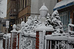 2009-02-03_16-53-29_DSC_5800.jpg