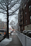 2009-02-03_16-58-47_DSC_5821.jpg