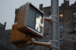 2009-02-03_17-10-14_DSC_5847.jpg