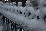 2009-02-03_17-12-18_DSC_5869.jpg