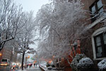 2009-02-03_17-13-01_DSC_5872.jpg