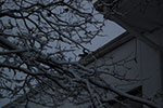 2009-02-03_17-22-52_DSC_5893.jpg