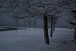 2009-02-03_17-23-05_DSC_5894.jpg