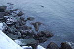 2009-02-03_17-24-47_DSC_5902.jpg