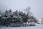 2009-02-03_17-25-17_DSC_5910.jpg