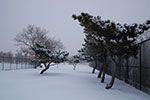 2009-02-03_17-26-09_DSC_5919.jpg