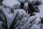 2009-02-03_17-28-57_DSC_5926.jpg